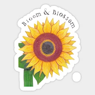 Bloom & Blossom Sticker